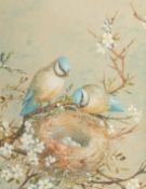 E.A. Rowlendson (19th Century) Two Blue Tits standing on a blossom tree looking into a nest with