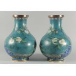 A FINE PAIR OF LARGE CHINESE BLUE GROUND CLOISONNE VASES, decorated with peach blossom above a
