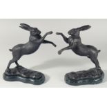 A PAIR OF BRONZE BOXING HARES on marble plinths. 11.5ins.