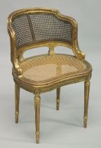 A 19TH CENTURY GILDED CARVED BEECH ARMCHAIR with cane work back and set on turned, tapering fluted