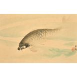 Japanese School (early 20th Century) Study of a Carp, watercolour, signed and with red seal, 8.75" x