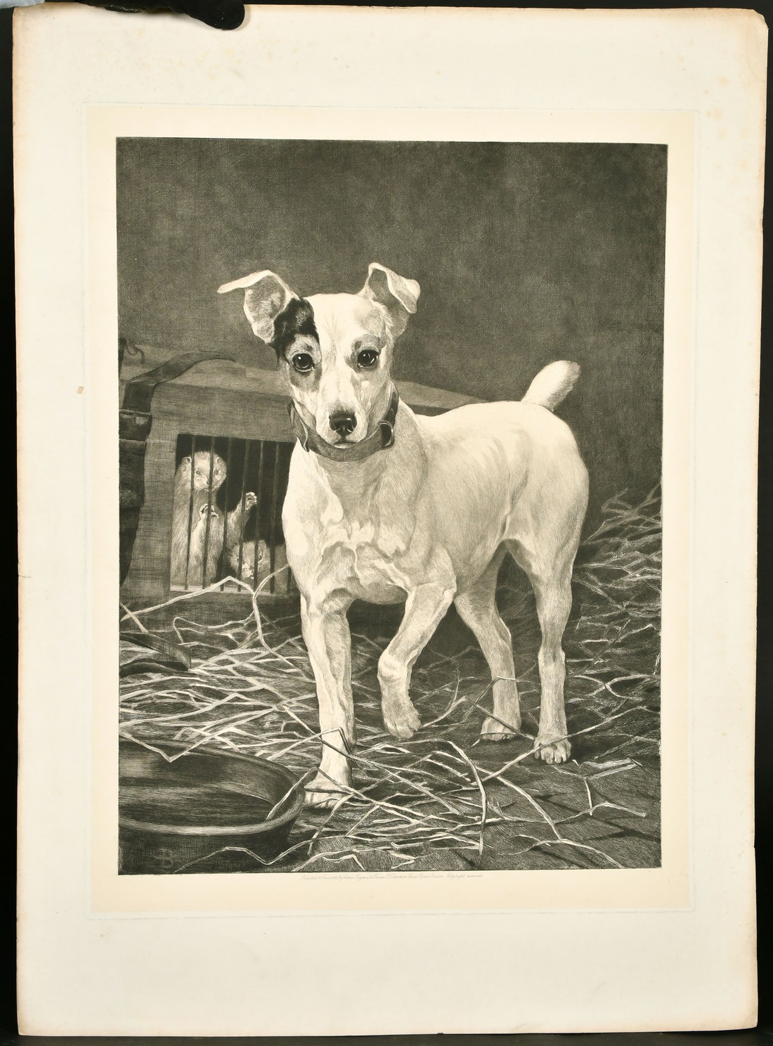 Thomas Blinks, etching of a Jack Russell terrier, 23.5" x 17.75", (60x43cm) and 6 other engravings - Image 2 of 3