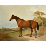 19th Century, A horse standing in a rural landscape, oil on canvas, 22" x 28", (56x71cm).