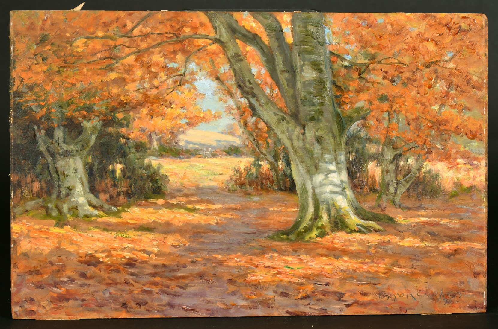 Byron Cooper, Autumn woodland, oil on panel, signed and dated, 9" x 14", (22.5x35.5cm) (unframed). - Image 2 of 4