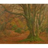 Attributed to Frederick Golden Short (1863-1936), Autumn trees in the New Forest, oil on canvas laid