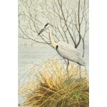 Robert Gillmor, Heron on a riverbank, colour print, numbered 106/200 and signed in pencil, 7.75" x