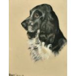 Phyllis Binet, A study 'Roger', a black and white spaniel, pastel, initialed, inscribed and dated