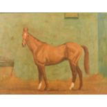 Charles Church (b. 1971) British, a bay horse in a stable, oil on board, signed, 19" x 24.5" (48 x