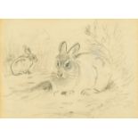 Archibald Thorburn (1860-1935) British, a study of two rabbits, pencil, 3.75" x 5.25" (9.5 x 13cm).