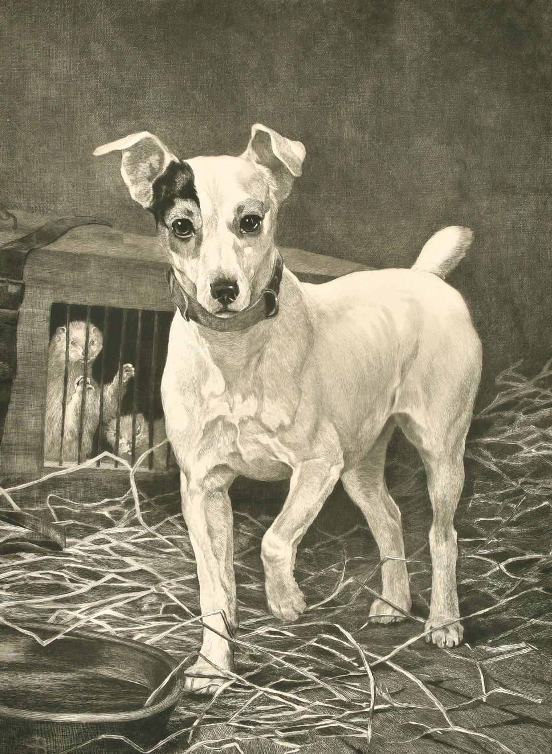 Thomas Blinks, etching of a Jack Russell terrier, 23.5" x 17.75", (60x43cm) and 6 other engravings