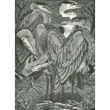 Colin See Paynton (b.1946) British, Four wood engravings, 'Siege of Herons', 'Covert of Coots', '