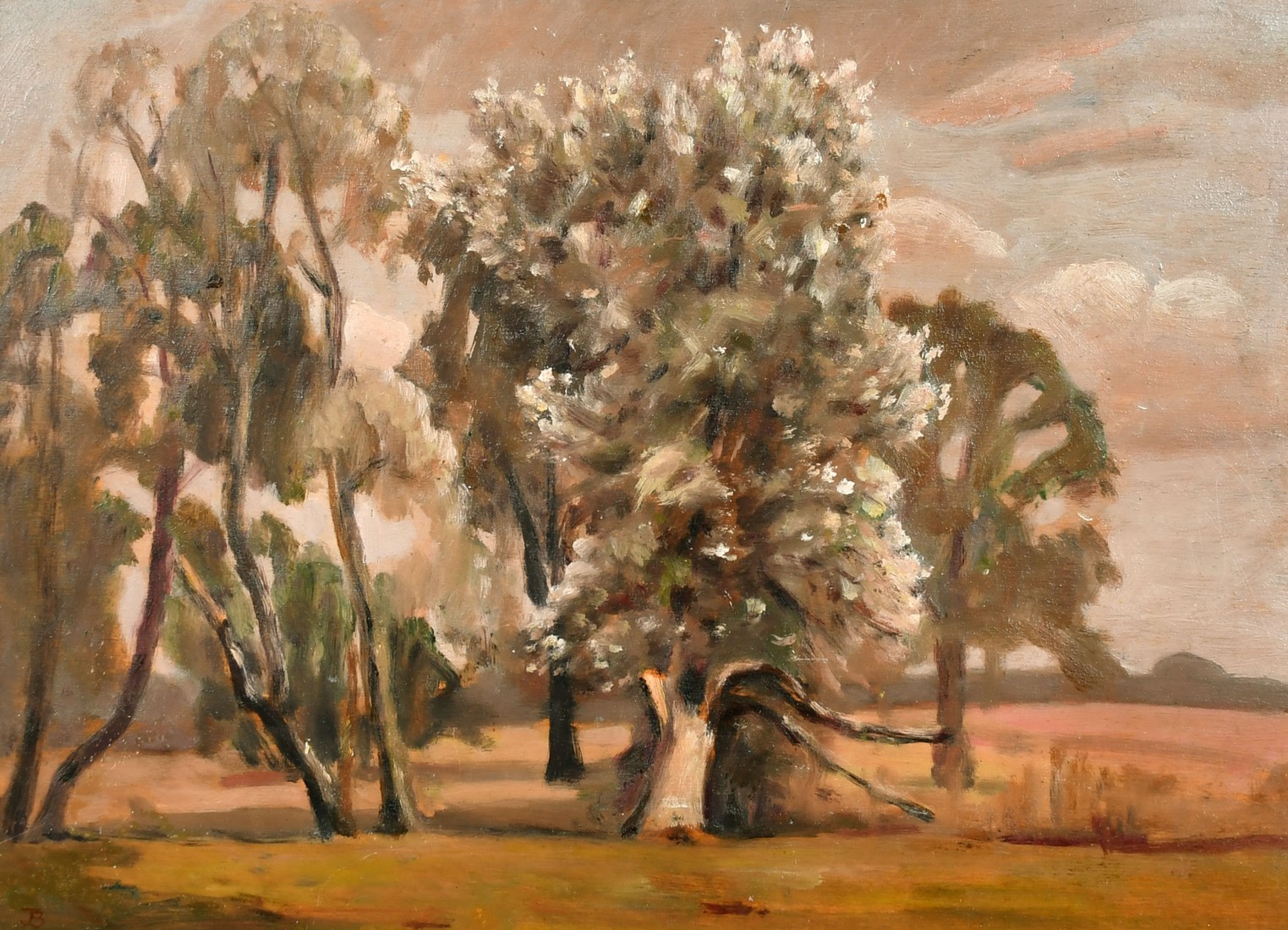John Brown, (20th Century) Trees with blossom with a pink sky beyond, oil on board, signed with