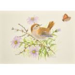 Ella Bruce (20th Century) A Wren with a butterfly, watercolour, signed in pencil, 6.25" x 9", (