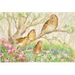 Ella Bruce (20th Century, Fledglings with mother on a branch, watercolour, signed, 7.5" x 10", (18.