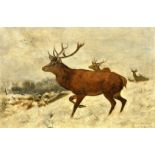 After Carl Friedrich Deiker, Early 20th Century, Stags in the snow, oil on canvas, indistinctly