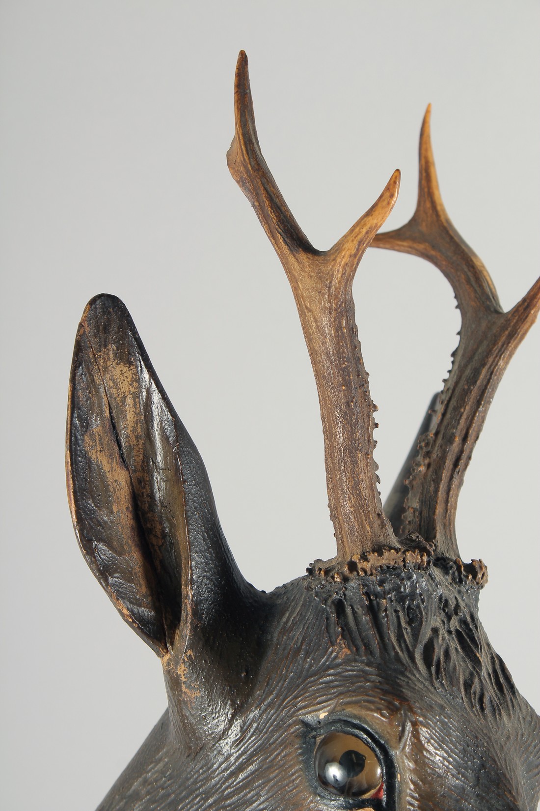 A 19TH CENTURY BLACK FOREST CARVED WOOD DEER'S HEAD with real antlers and glass eyes. 17ins long. - Image 3 of 3