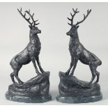 AFTER J. MOIGNIEZ. A PAIR OF BRONZE STAGS on a marble base. 17ins high.