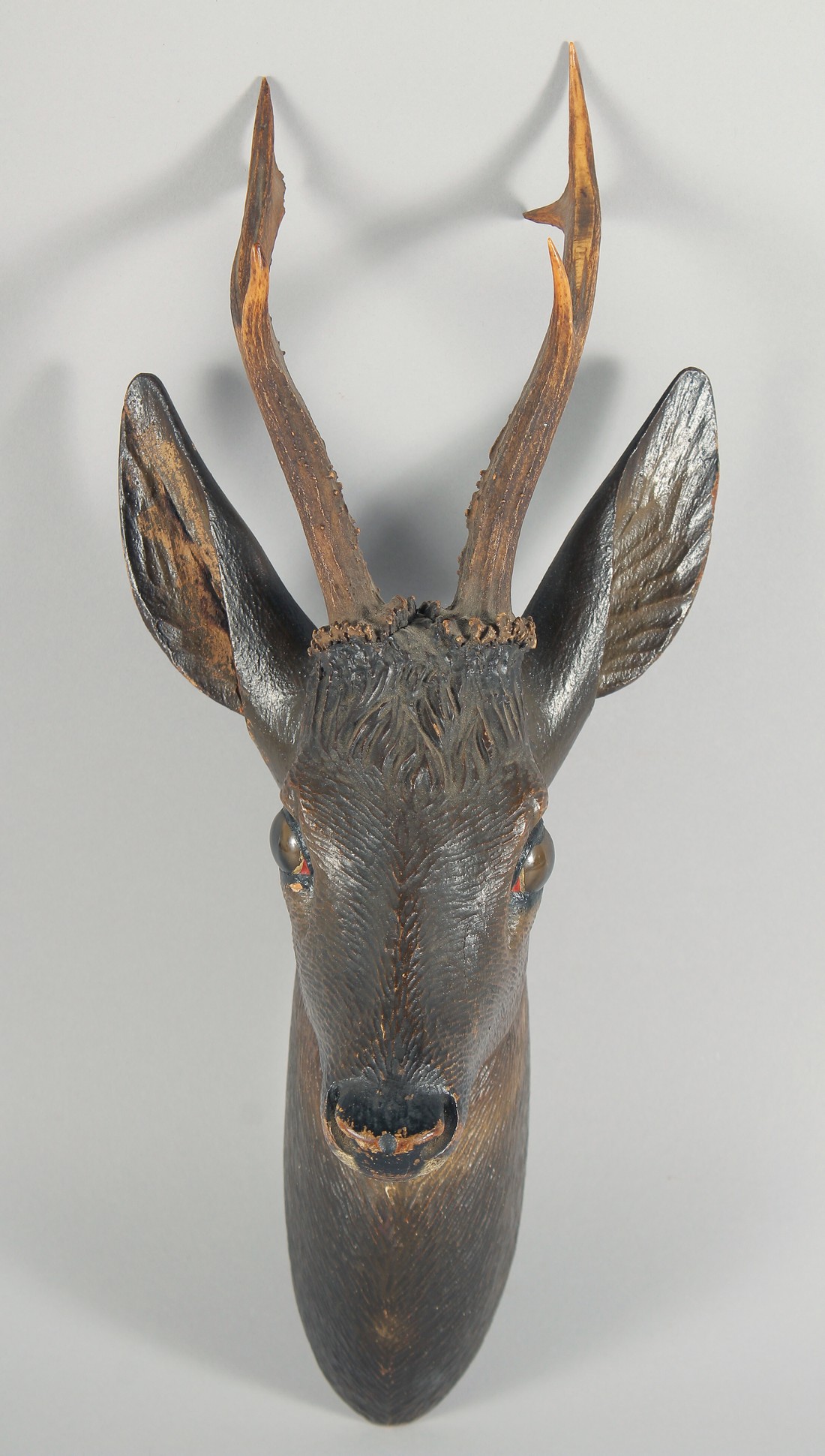 A 19TH CENTURY BLACK FOREST CARVED WOOD DEER'S HEAD with real antlers and glass eyes. 17ins long.