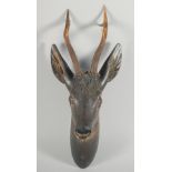 A 19TH CENTURY BLACK FOREST CARVED WOOD DEER'S HEAD with real antlers and glass eyes. 17ins long.