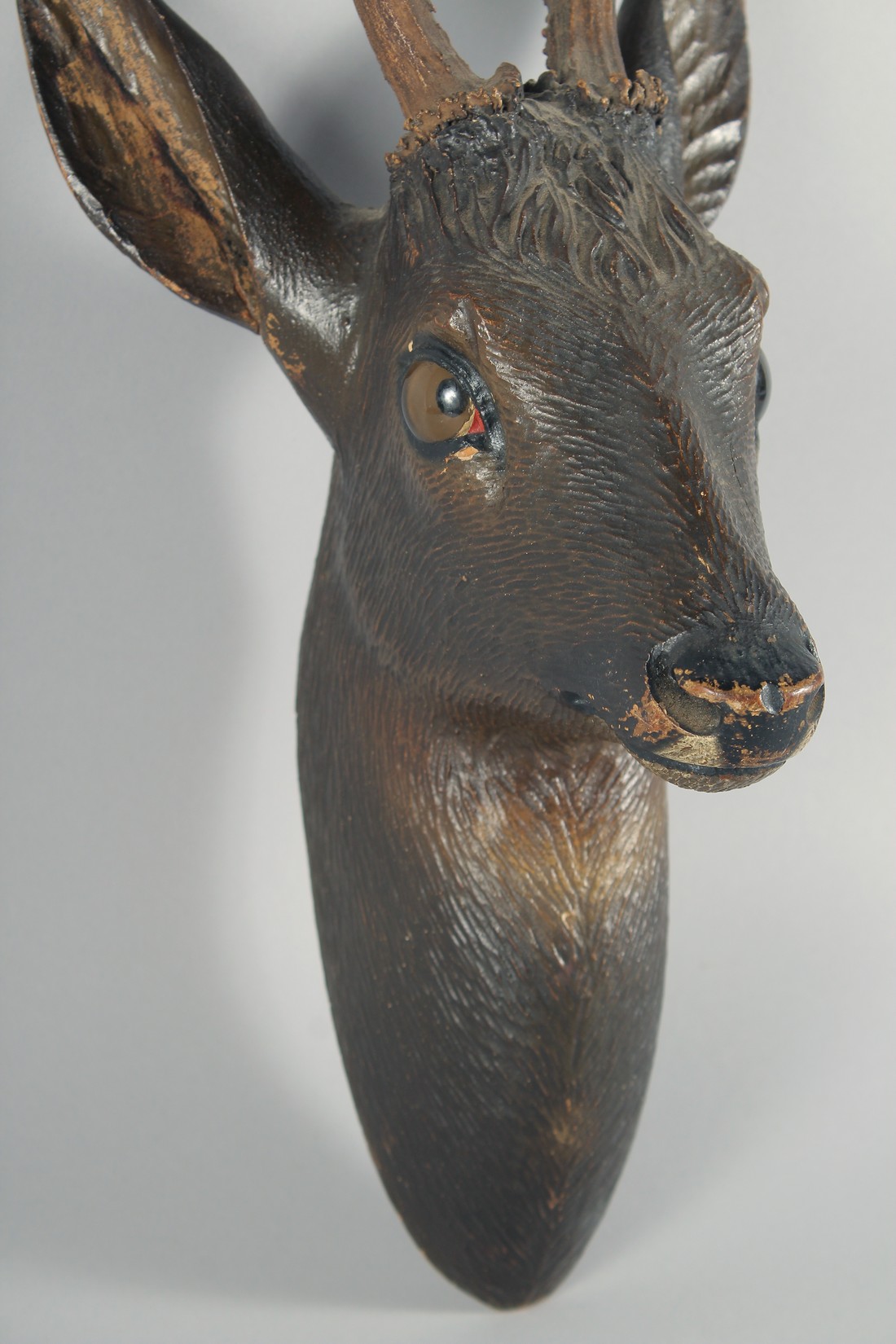 A 19TH CENTURY BLACK FOREST CARVED WOOD DEER'S HEAD with real antlers and glass eyes. 17ins long. - Image 2 of 3