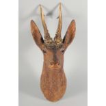 A 19TH CENTURY BLACK FOREST CARVED WOOD DEER'S HEAD with real antlers and glass eyes. 19ins long.