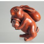 A JAPANESE BOXWOOD NETSUKE OF A RABBIT.