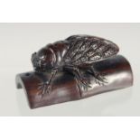 A JAPANESE CARVED HARDWOOD NETSUKE OF AN INSECT crawling on bamboo, signed, 5cm wide.