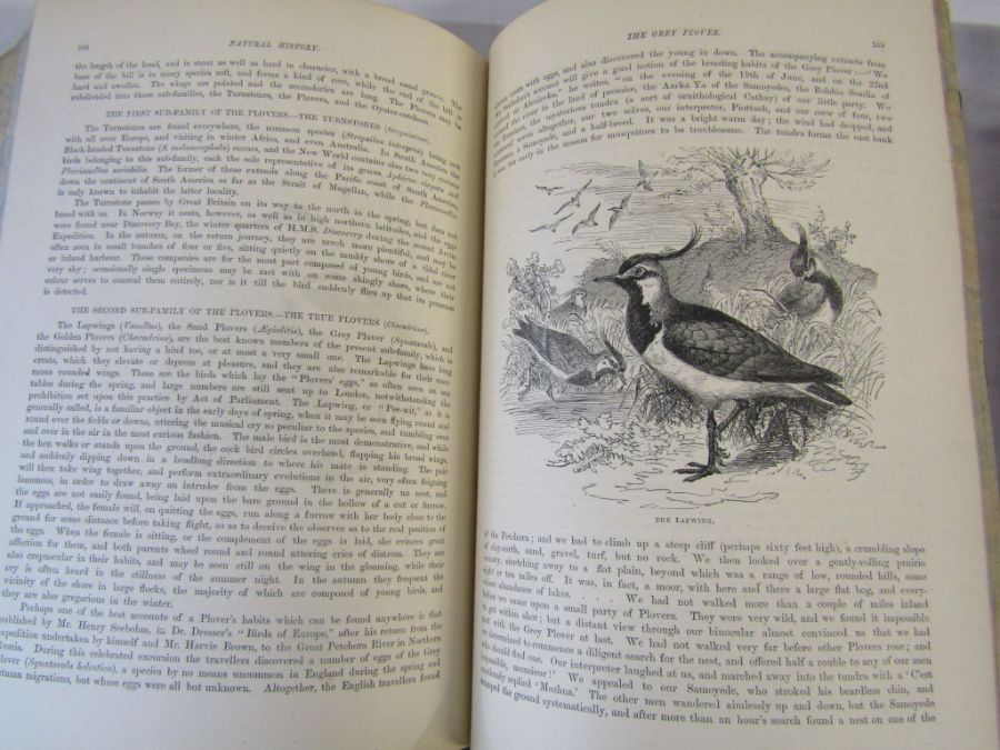 Cassell's Natural History Volumes 1-6 Illustrated leather bound books and Burrows Handy Guide to - Image 17 of 24