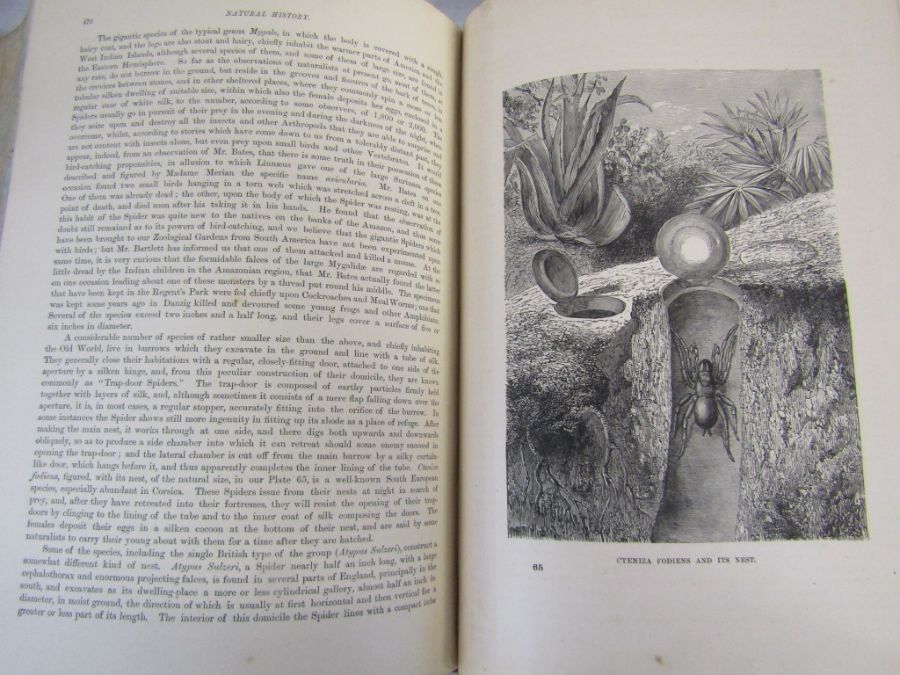 Cassell's Natural History Volumes 1-6 Illustrated leather bound books and Burrows Handy Guide to - Image 23 of 24