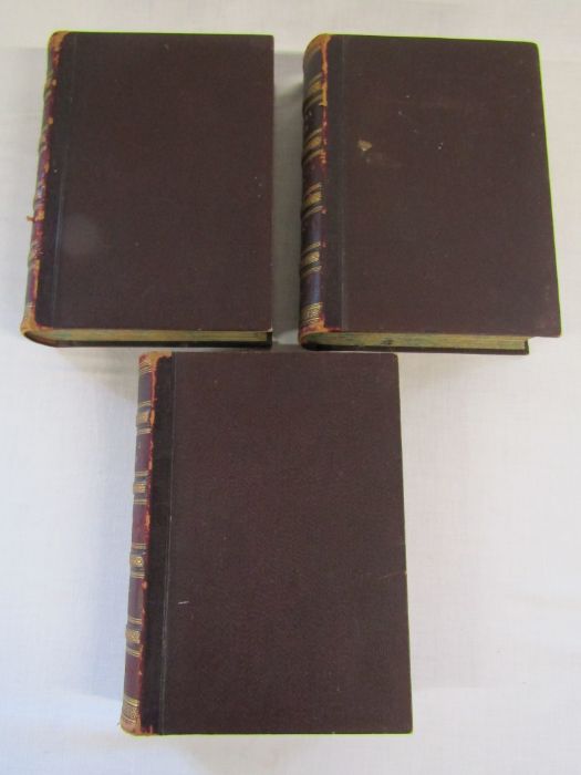 Cassell's Natural History Volumes 1-6 Illustrated leather bound books and Burrows Handy Guide to - Image 5 of 24
