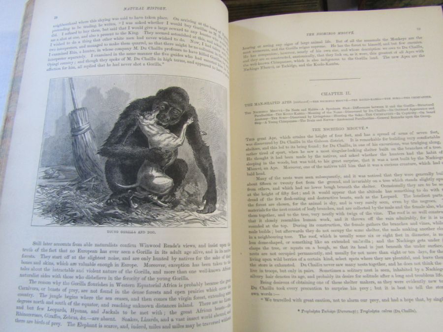 Cassell's Natural History Volumes 1-6 Illustrated leather bound books and Burrows Handy Guide to - Image 8 of 24