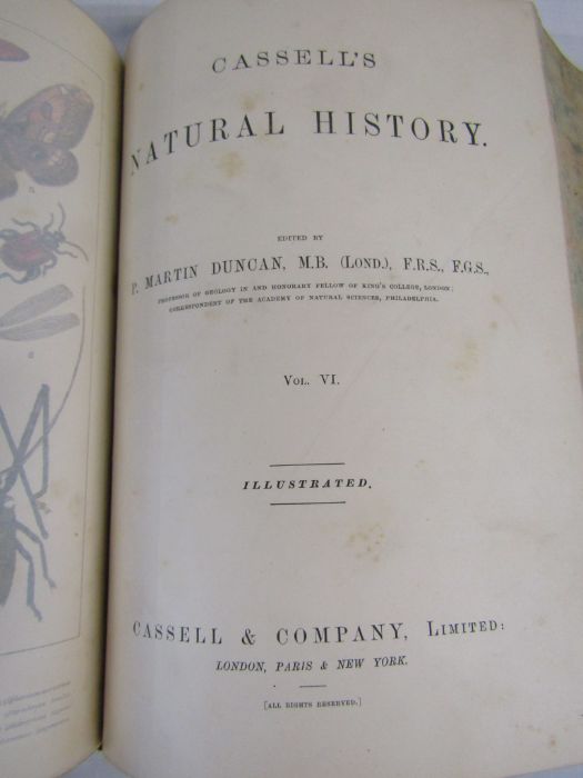 Cassell's Natural History Volumes 1-6 Illustrated leather bound books and Burrows Handy Guide to - Image 22 of 24