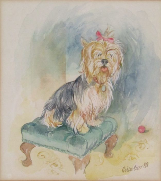 Framed Colin Carr watercolour of a Yorkshire Terrier measures 25cm x 27cm (includes frame) dated