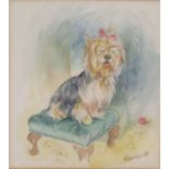 Framed Colin Carr watercolour of a Yorkshire Terrier measures 25cm x 27cm (includes frame) dated