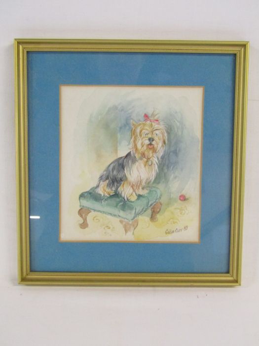 Framed Colin Carr watercolour of a Yorkshire Terrier measures 25cm x 27cm (includes frame) dated - Image 2 of 3