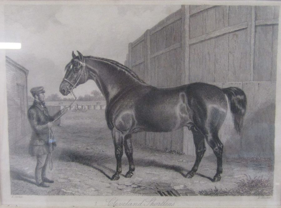 Collection of horse prints - Image 2 of 7