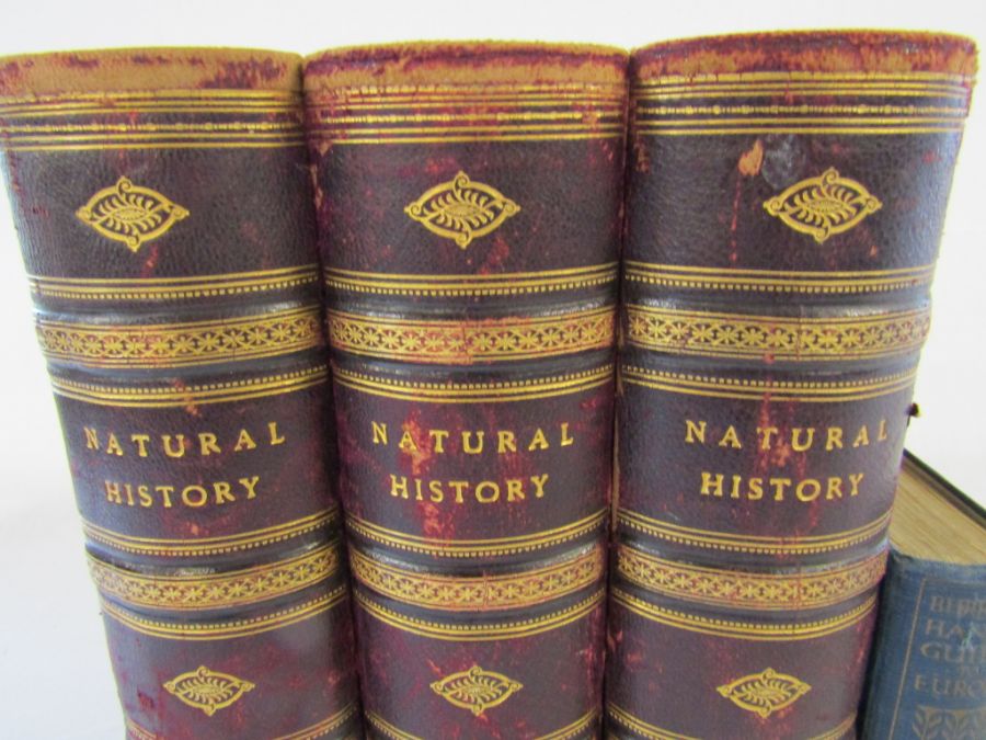Cassell's Natural History Volumes 1-6 Illustrated leather bound books and Burrows Handy Guide to - Image 2 of 24
