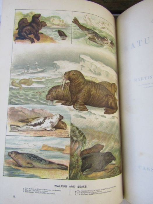Cassell's Natural History Volumes 1-6 Illustrated leather bound books and Burrows Handy Guide to - Image 9 of 24