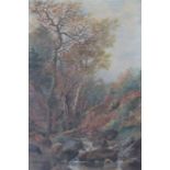 Oil painting of woodland scene with indistinct signature - approx. 41" X  31" (includes frame)