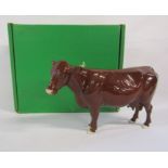 Beswick Red Poll cow