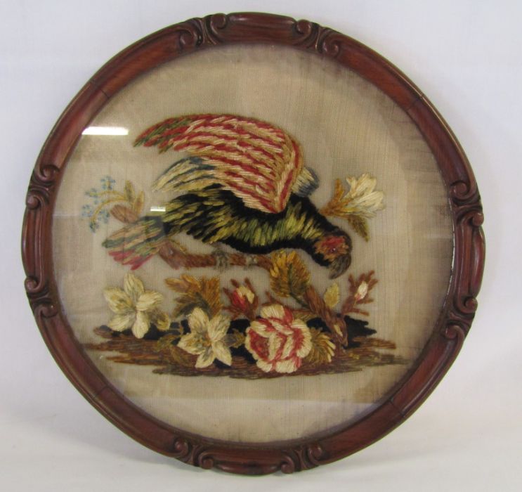 Victorian wool work parrot picture in carved oak frame approx. 42cm diameter