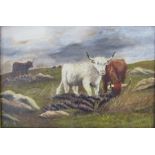 An oil on canvas depicting highland cattle and signed E.W. Ellwand 1927 approx. 65cm x 50cm