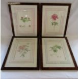 4 Limited Edition prints 'The Kew Botanical Flower Illustrations of Franz Bauer' all approx. 56cm