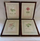 4 Limited Edition prints 'The Kew Botanical Flower Illustrations of Franz Bauer' all approx. 56cm
