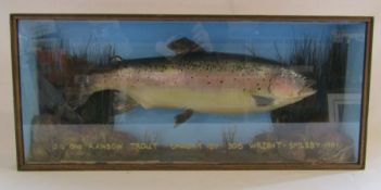Mounted taxidermy '5lb 8oz Rainbow Trout - caught by Bob Wright Spilsby 1991' approx. 69.5cm x