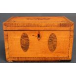 George III satinwood rectangular tea caddy, cross banded, with inlaid panels to sides and lid (