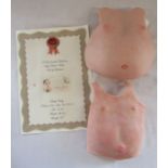 A spare certificate and 2 reborn baby body plates