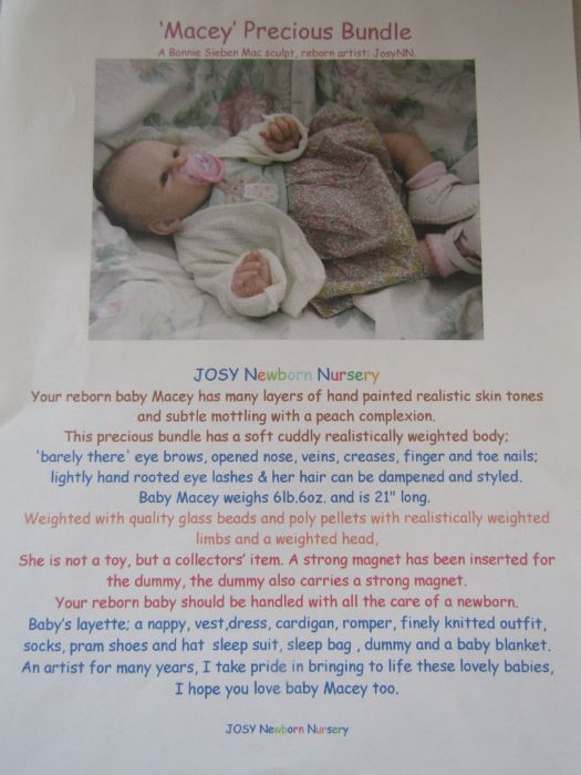 Reborn baby doll ' Macey' by artist Josynn with moses basket and teddy bear has fine hair, open eyes - Image 3 of 9