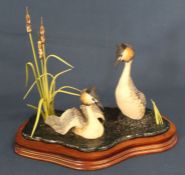 Border Fine Arts model of two Crested Grebes width 28cm
