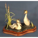 Border Fine Arts model of two Crested Grebes width 28cm